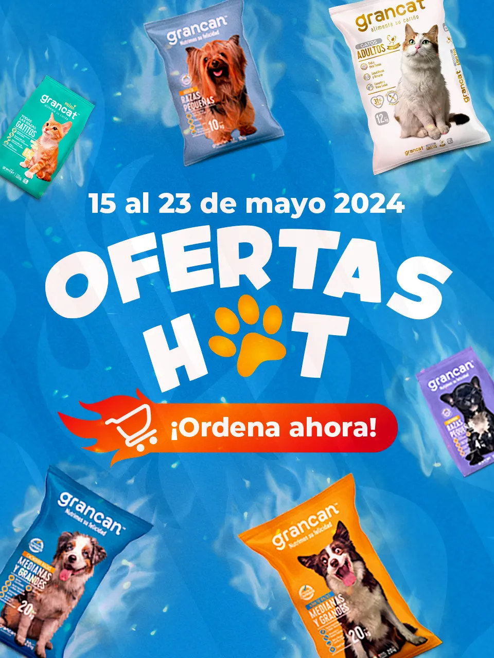 Banner Principal Hotsale Movil (1)