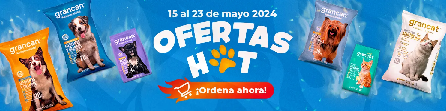 Banner Principal Hotsale